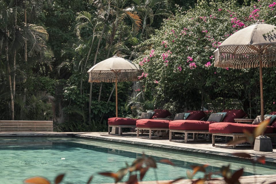 Garden, Swimming pool