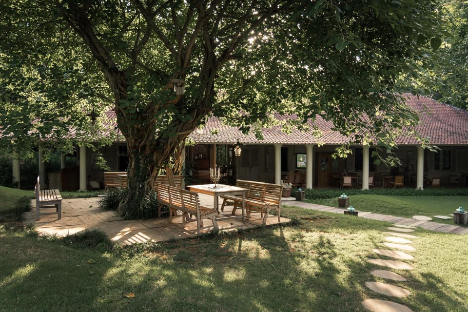 Patio, Garden