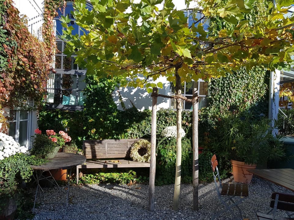 Hotel Gasthof Traubenbräu Hotel in Baden-Württemberg