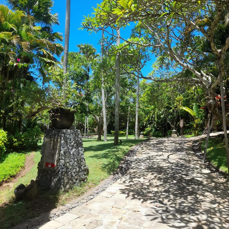 Garden view