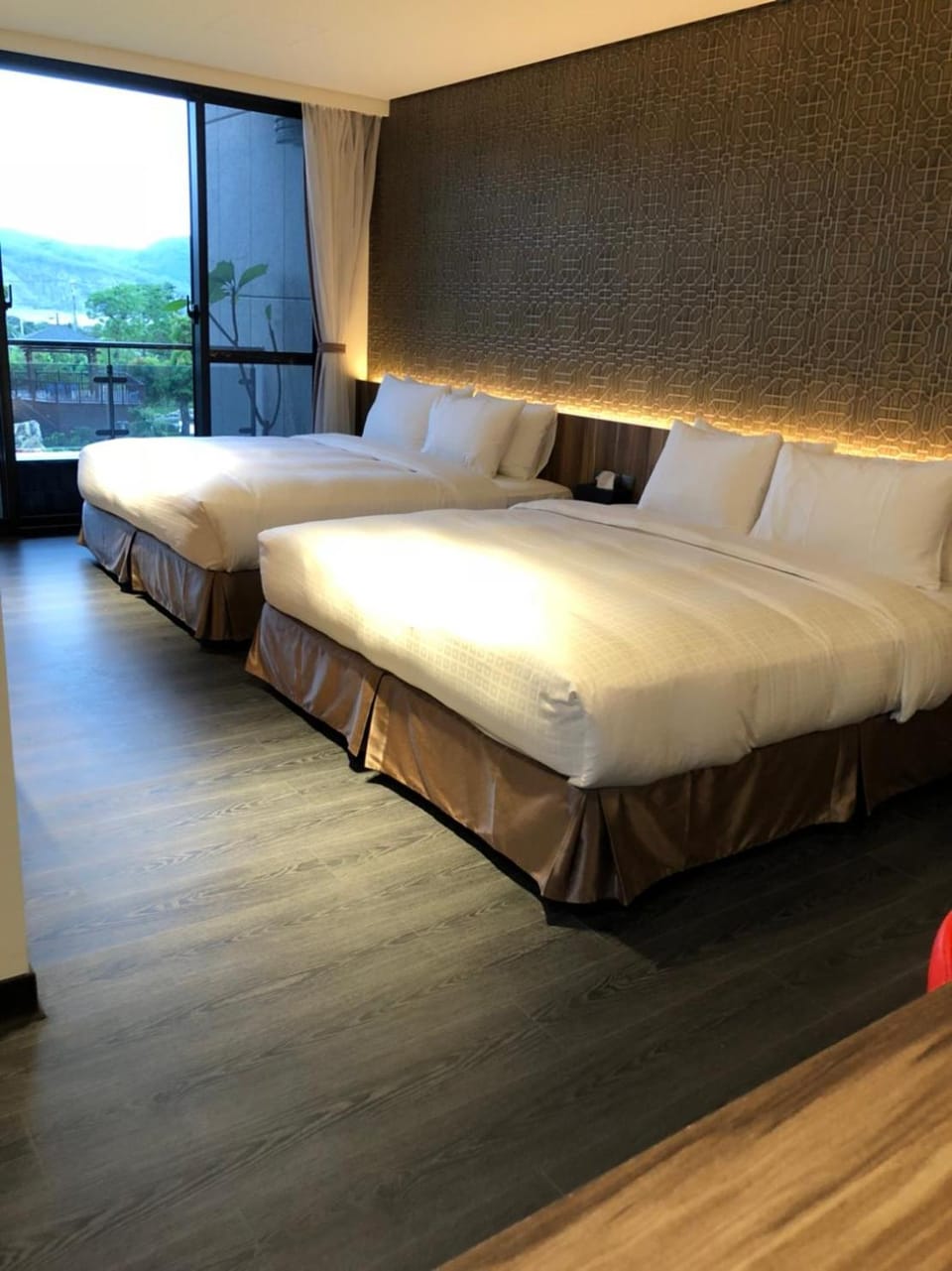 Photo of the whole room