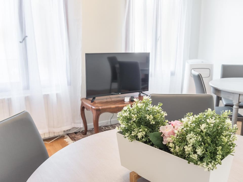 TV and multimedia