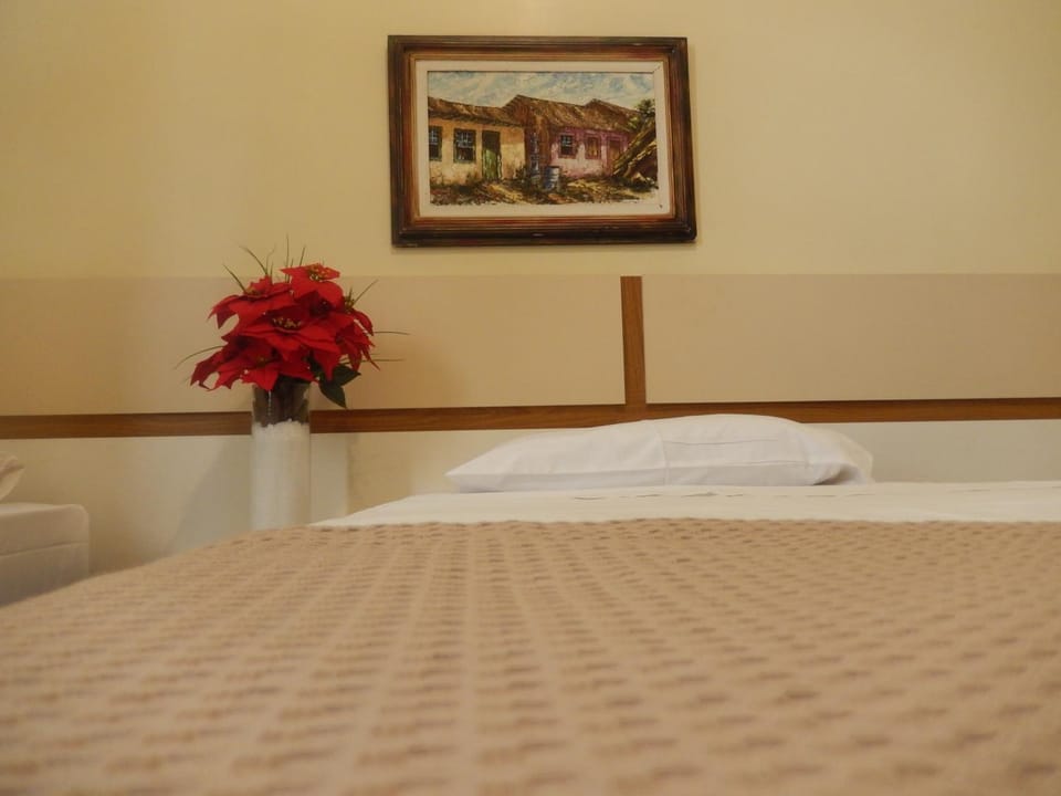 Hotel Metropole Hotel in Belo Horizonte