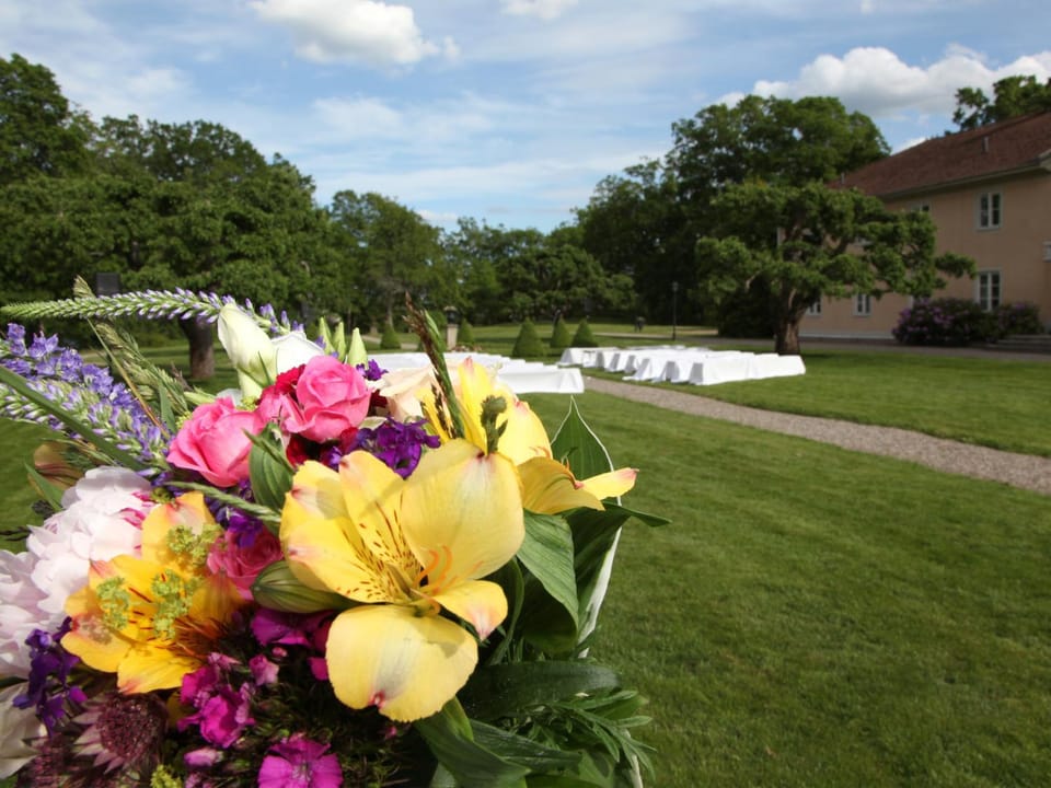 Garden, Garden view