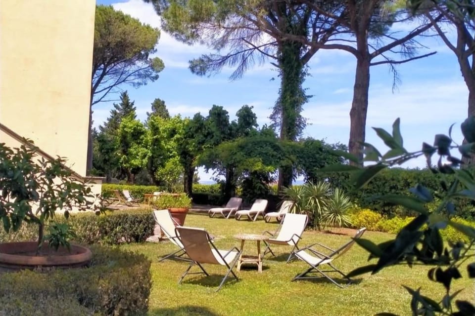 Natural landscape, Garden, Garden view, sunbed