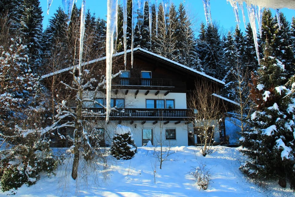 Property building, Winter