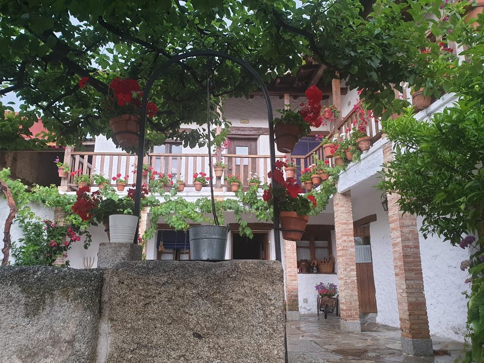 Patio, Garden