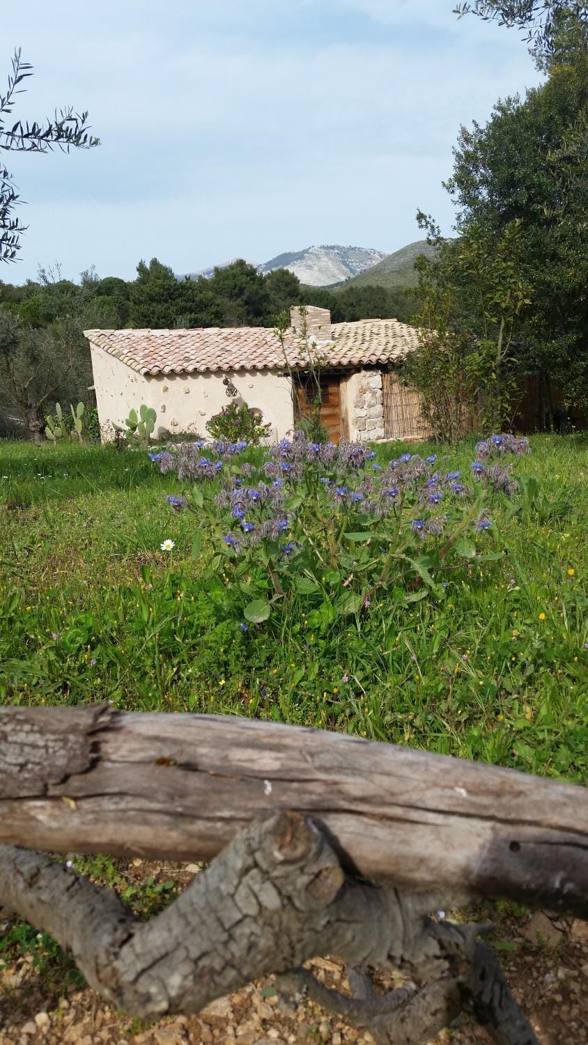 Agriturismo La Torre Rossa Farm Stay in Lazio