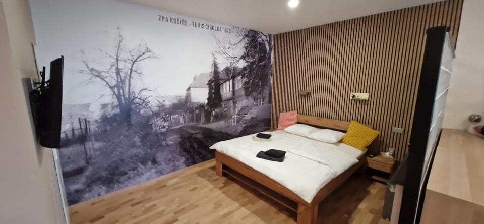 Sport Pension Cibulka Vacation rental in Prague