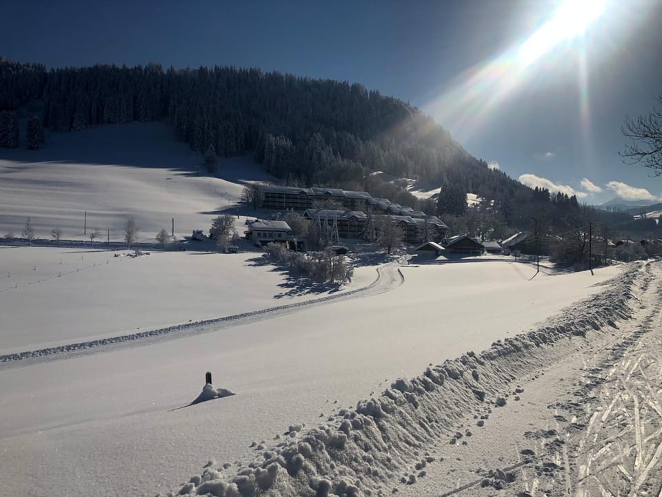 Property building, Winter