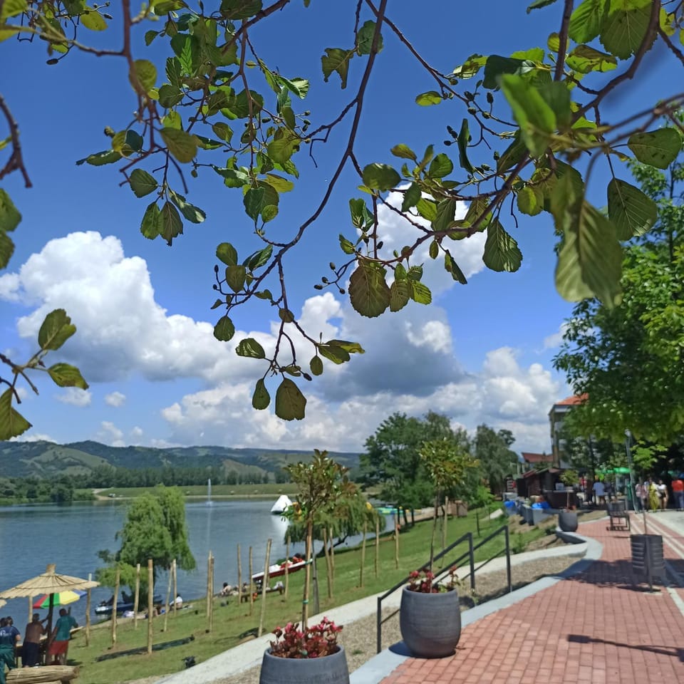 Stela Et Luna Apartment in Vojvodina