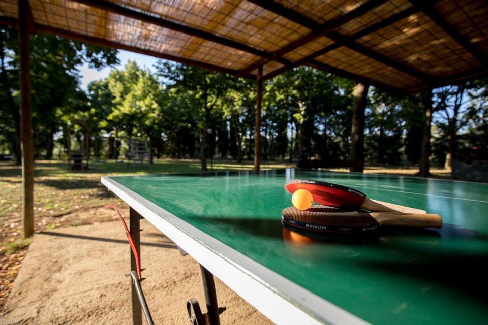 Table tennis