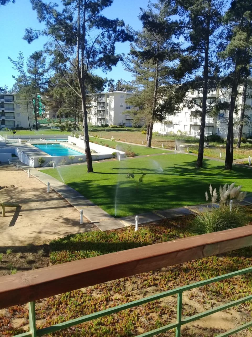 Garden view
