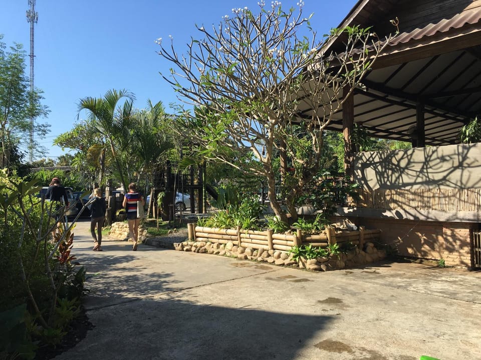 Day, Garden