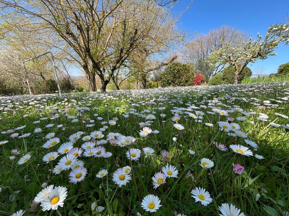 Agriturismo Collina Dei Fagiani Country House in Umbria