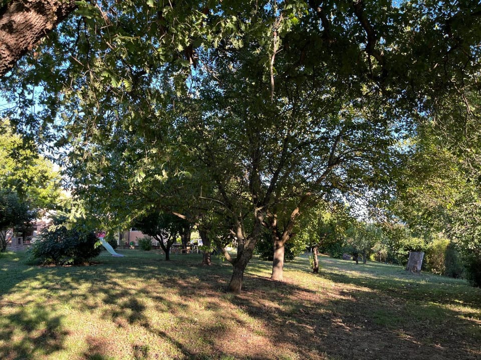 Agriturismo Collina Dei Fagiani Country House in Umbria