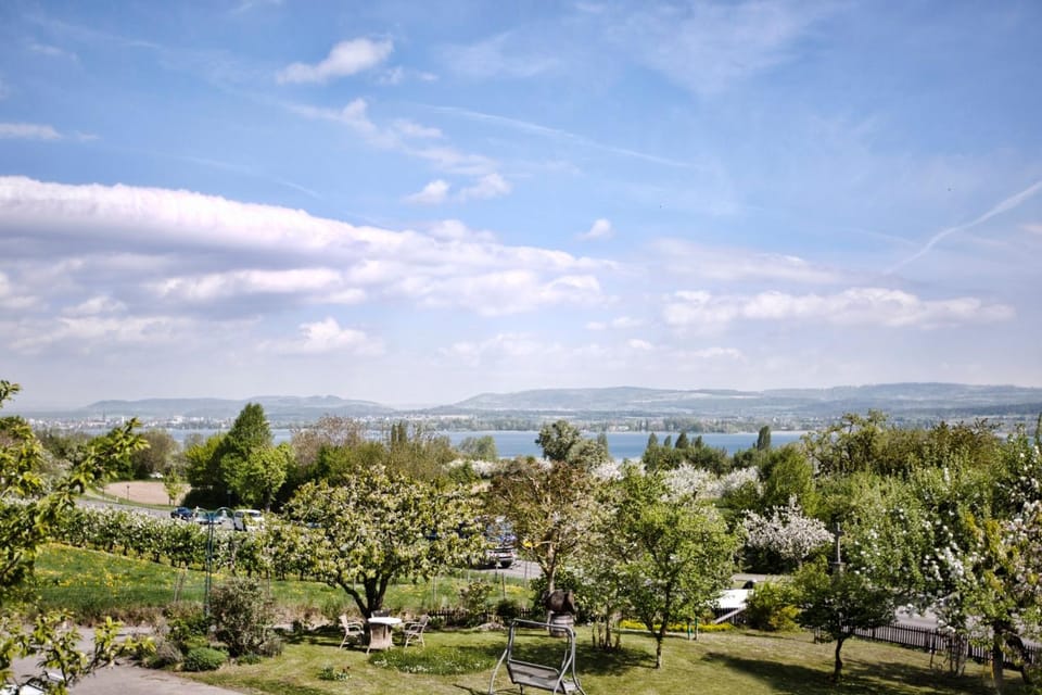 View (from property/room), Garden view
