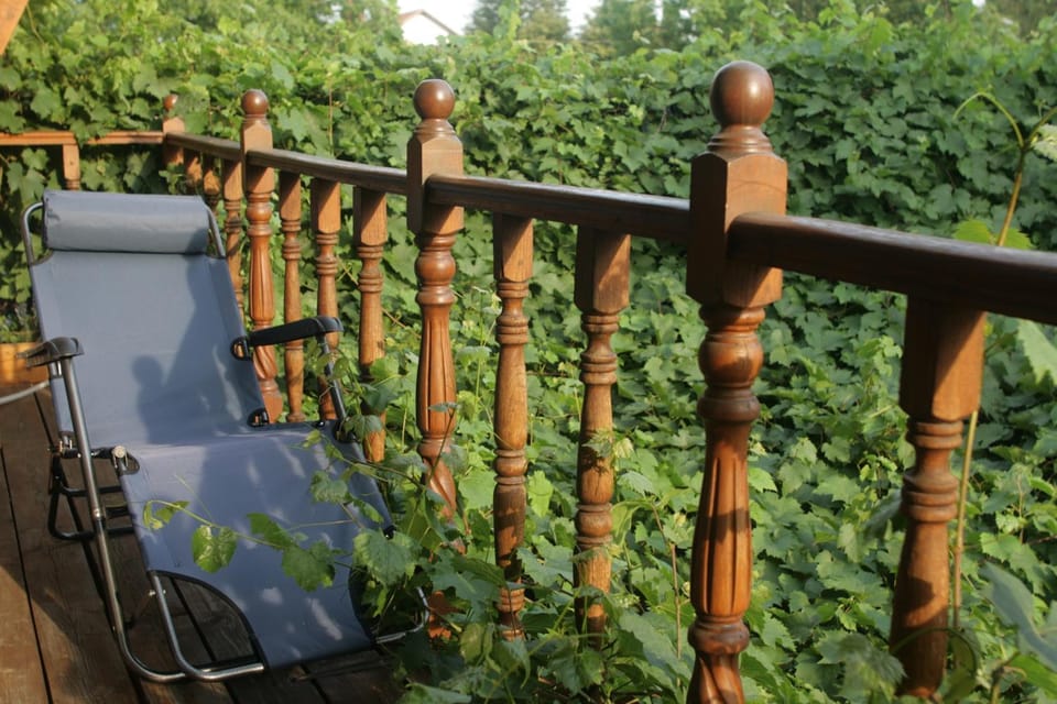 Friendly House Apartment in Ukraine