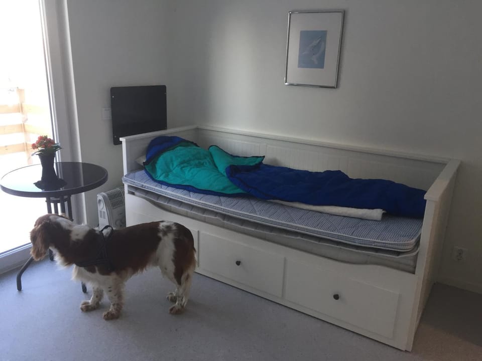 Photo of the whole room