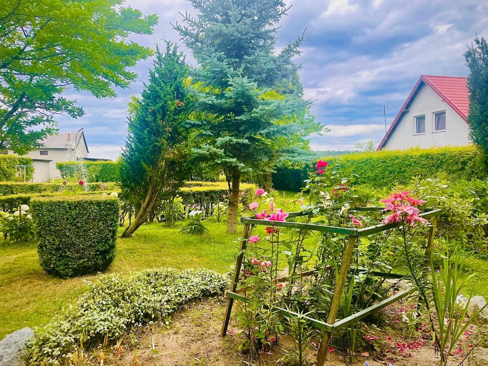 Spring, Day, Natural landscape, Garden