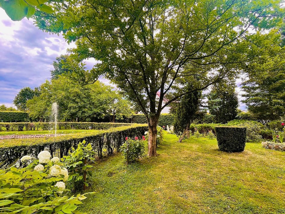 Day, Natural landscape, Garden, Garden view