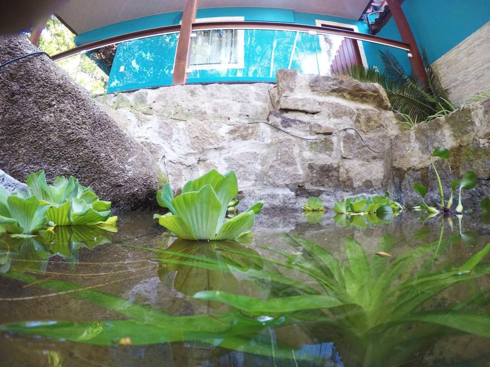 Pousada Guapuruvu Inn in Angra dos Reis