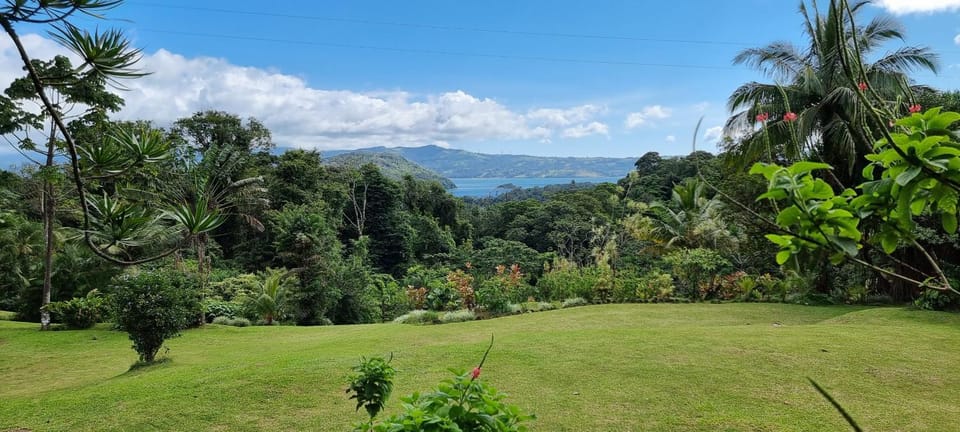 Natural landscape, Garden, Lake view, Mountain view
