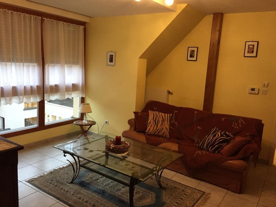 les menetriers Apartment in Ribeauvillé