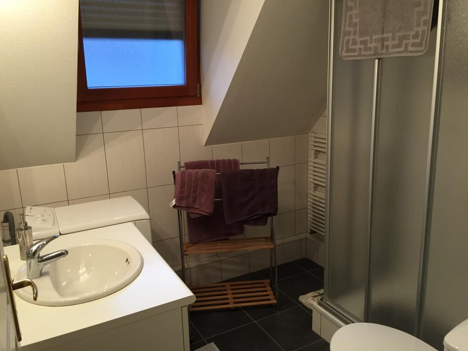 les menetriers Apartment in Ribeauvillé