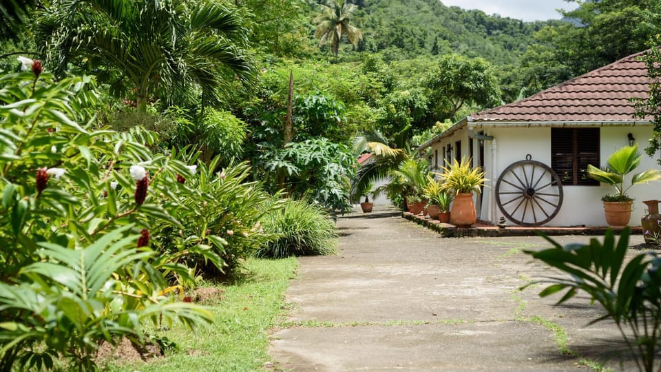 Facade/entrance, Garden