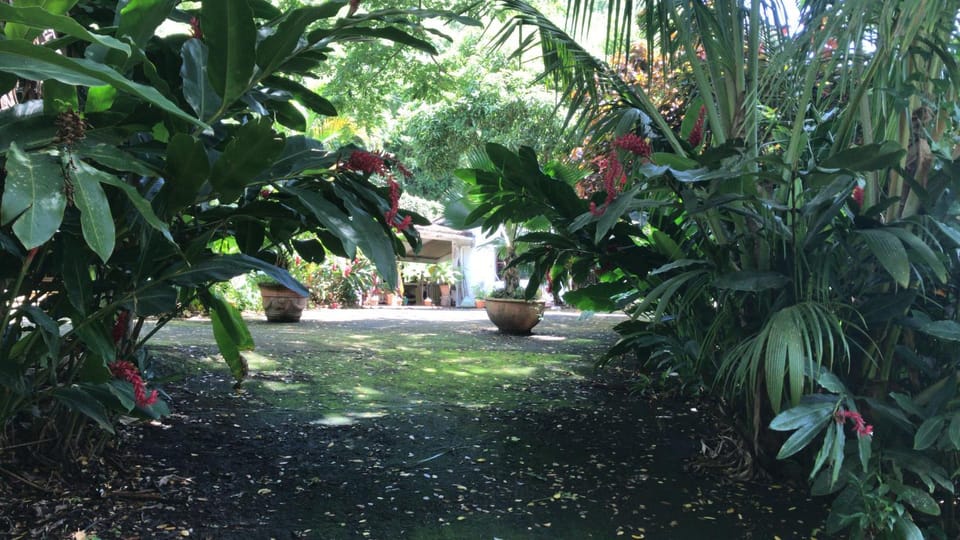 Patio, Garden, Decorative detail, Garden view, Inner courtyard view