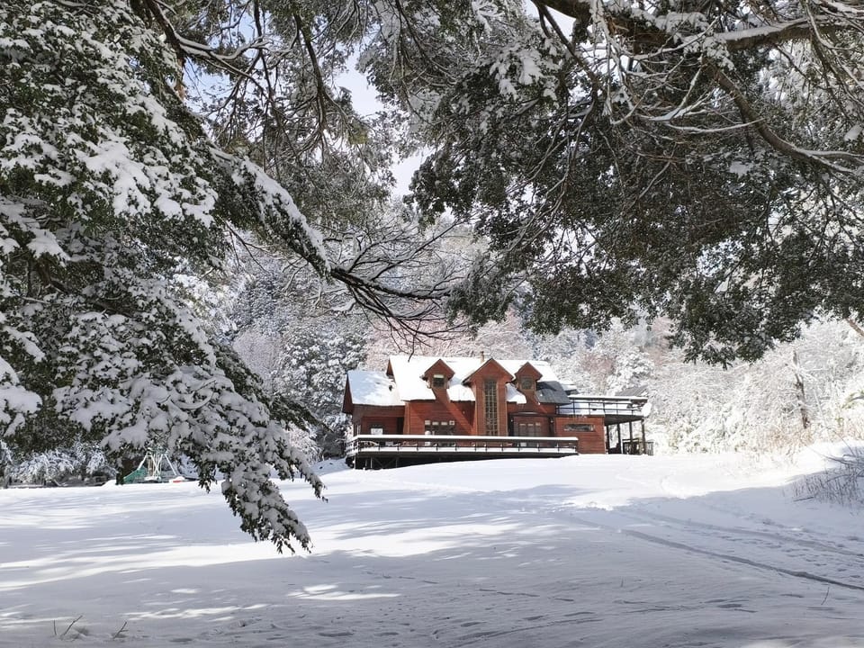 Refugio Las Raices Nature lodge in Araucania, Chile