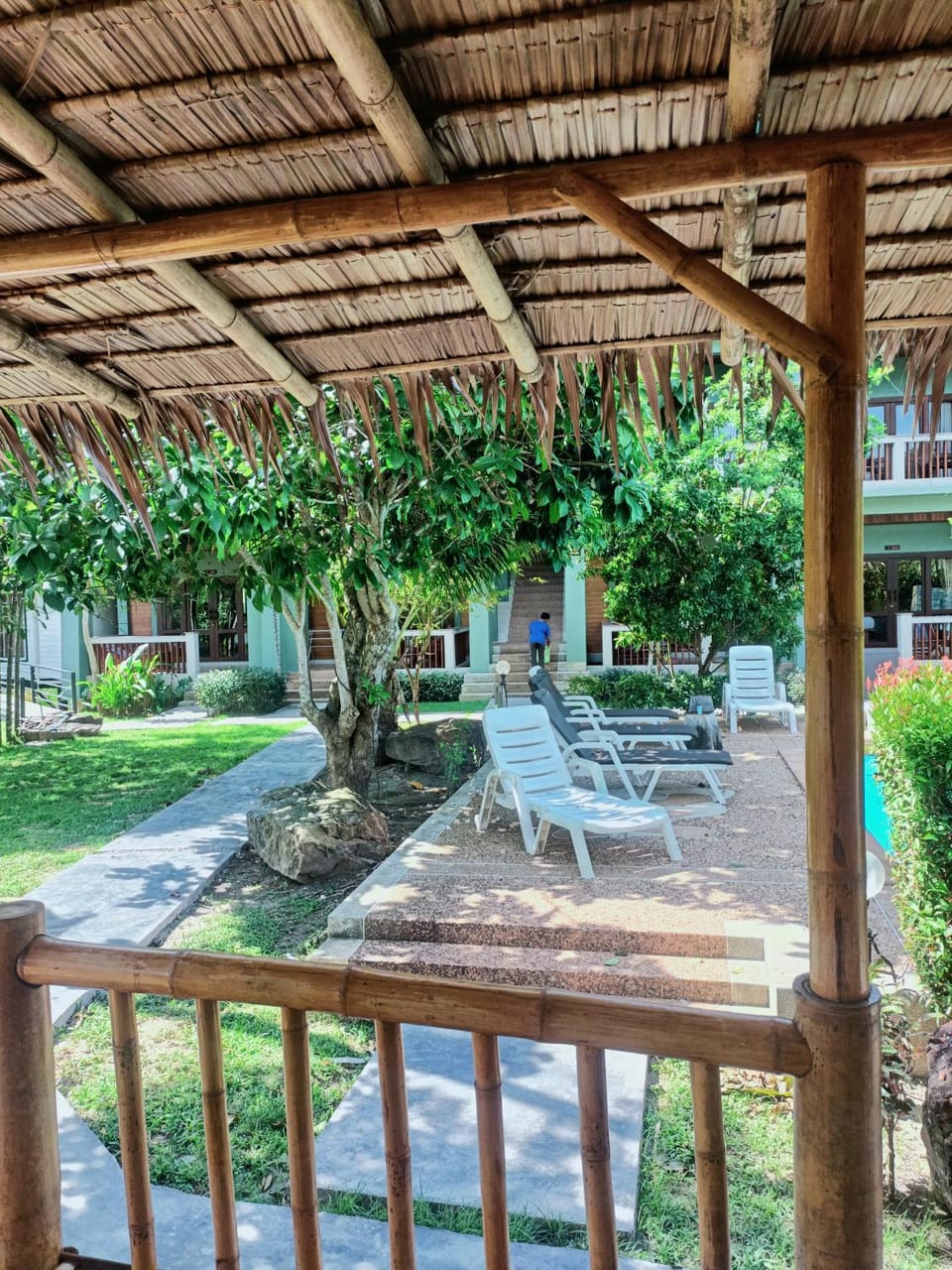 Garden view