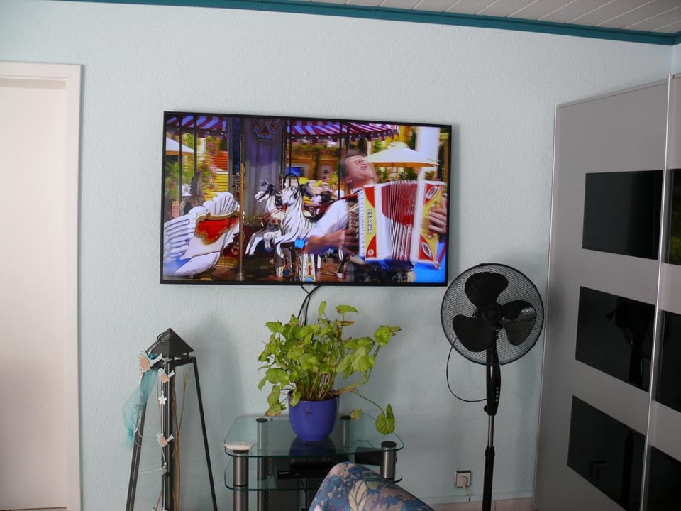 TV and multimedia