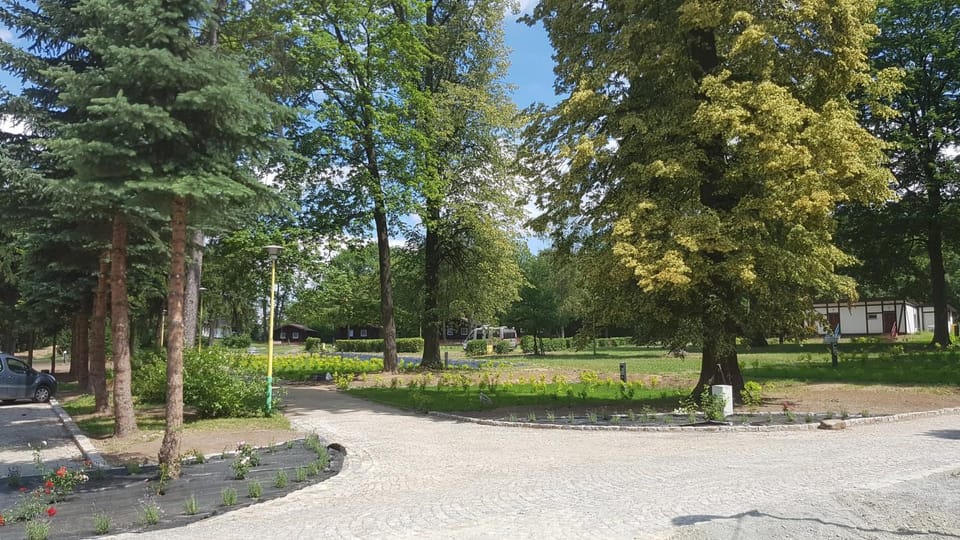 Spring, Day, Natural landscape, Garden, Garden view