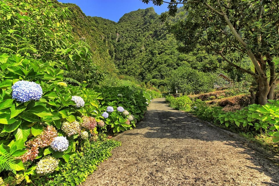 Chale Jardim De Cima Chalet in Madeira District