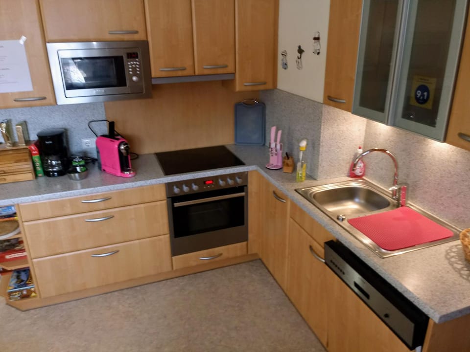 Appartement Mary Apartment in Schladming