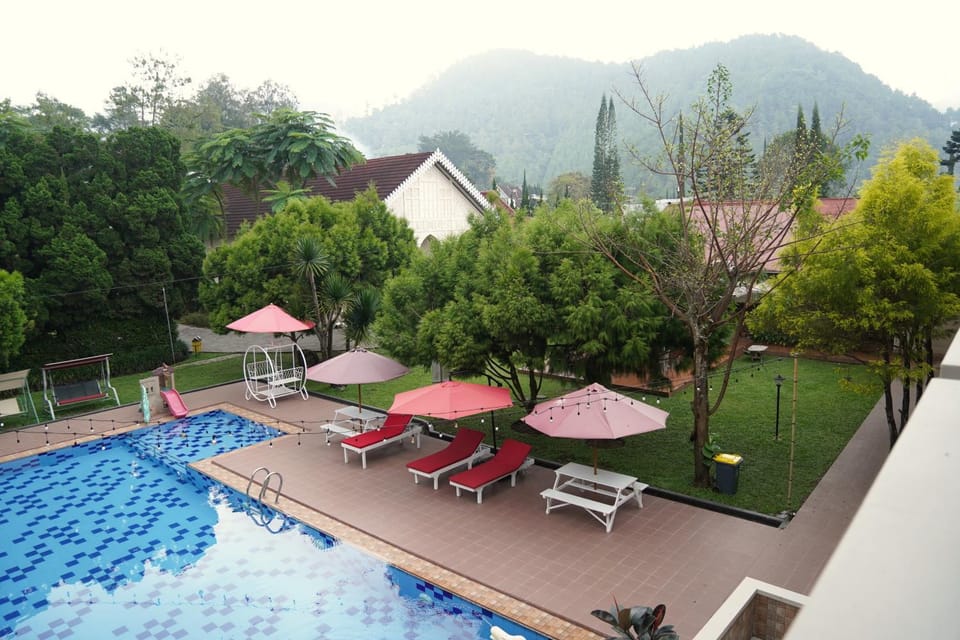 Day, Natural landscape, Pool view, Swimming pool