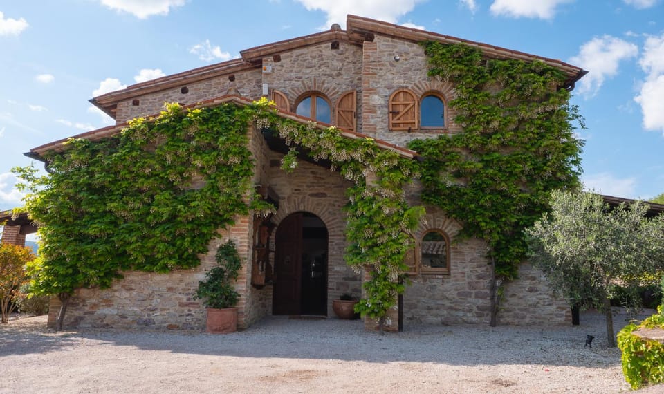 Facade/entrance, Garden