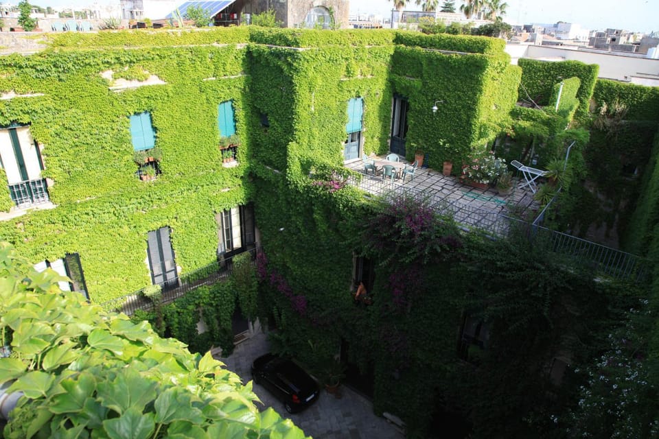 Garden, Balcony/Terrace, Decorative detail, City view, Garden view