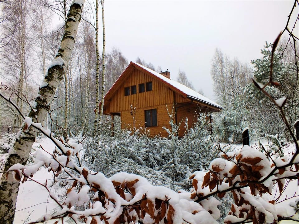 Property building, Winter