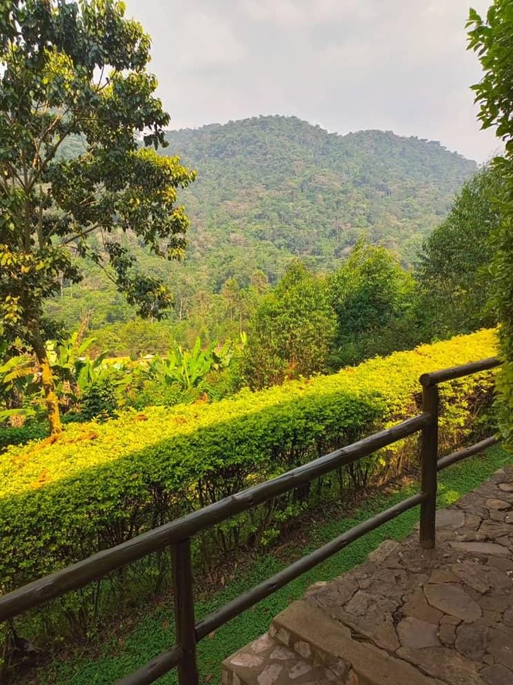 Natural landscape, Mountain view
