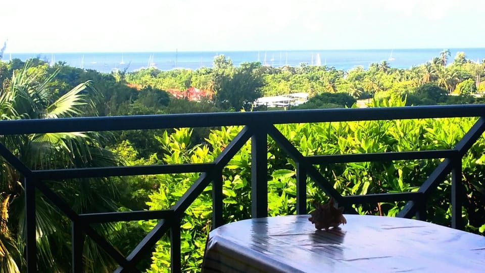 Studios Carribean Sea View Apartment in Sainte-Anne