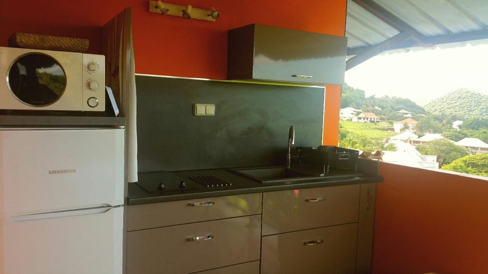 Studios Carribean Sea View Apartment in Sainte-Anne