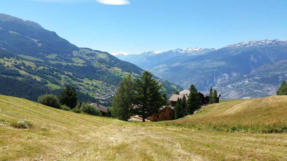 Natural landscape
