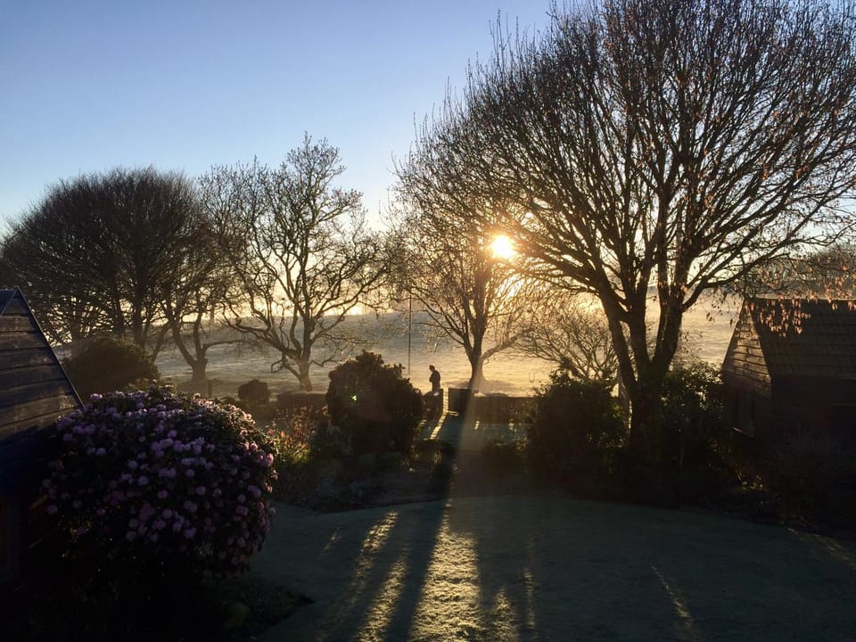 Natural landscape, Winter, Garden, View (from property/room), On site, Garden view