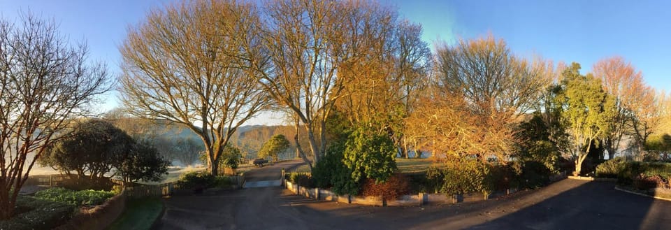 Natural landscape, Garden, View (from property/room), On site, Garden view