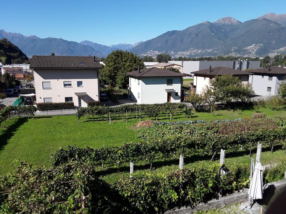 Property building, Natural landscape, Garden, Garden view, Mountain view