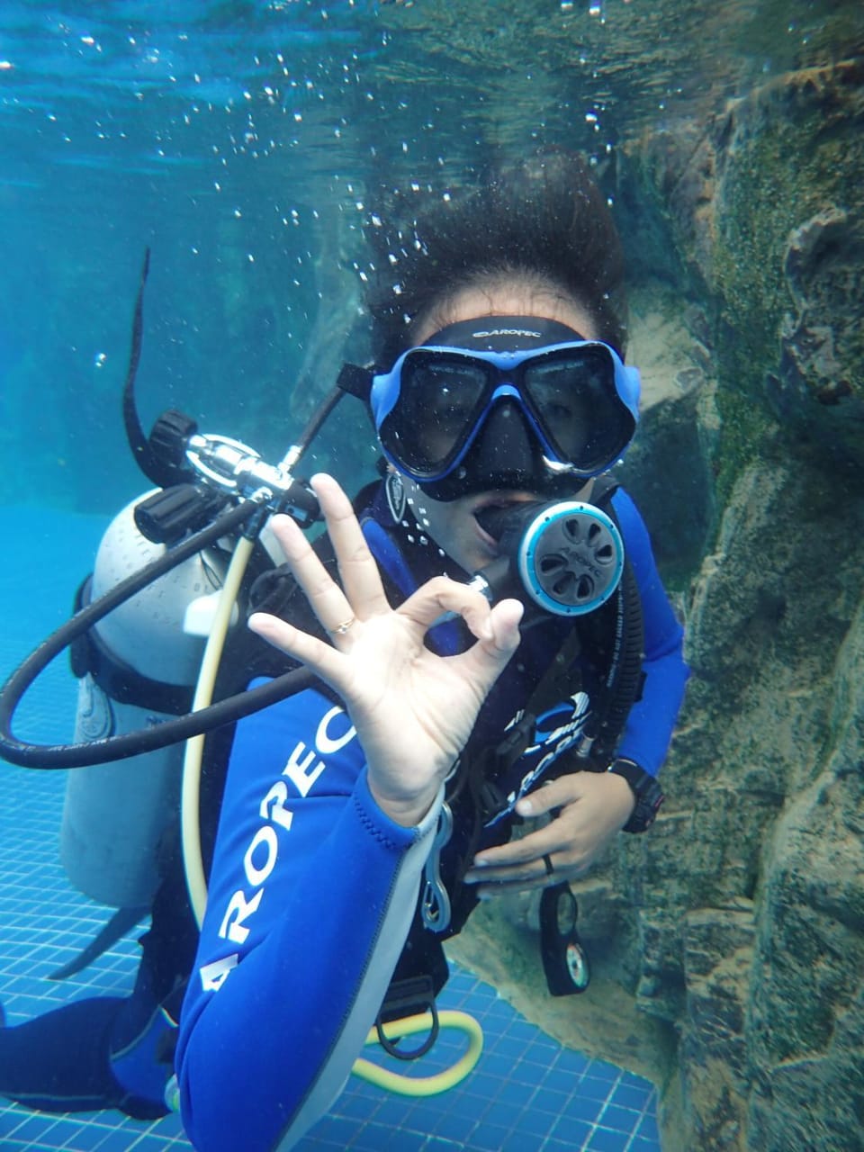 Activities, Diving
