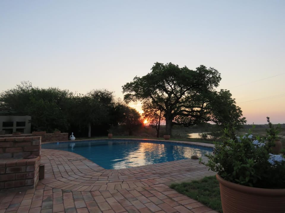 Summer, On site, Swimming pool, Sunset